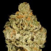 Zkittlez