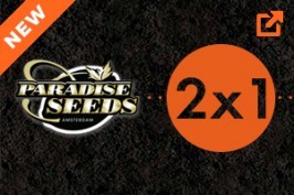 Promo Paradise Seeds