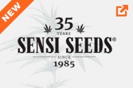 Sensi Seeds